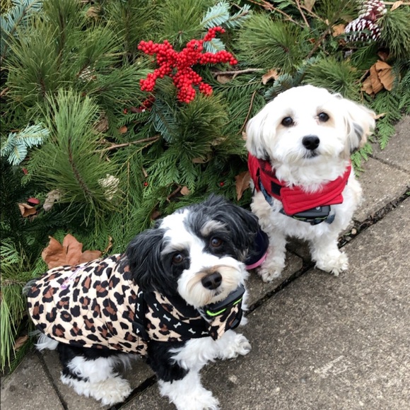 Meet your Posher...June!  Leave a note and say hi! - Picture 8 of 12